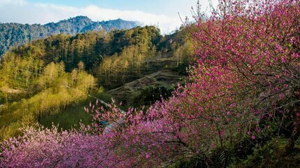 Tour Tết Hà Giang 4N4Đ: HCM - Lũng Cú - Mã Pí Lèng - Đồng Văn