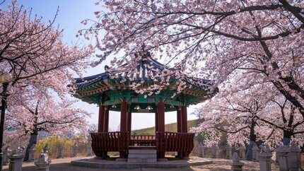 Tour Hàn Quốc 5N4Đ từ Hải Phòng: Seoul - Nami -  Công Viên Everland