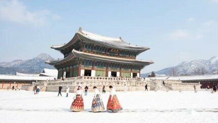 Tour Hàn Quốc Mùa Đông 2025: HCM - Seoul - Đảo Nami - Rừng Seoul 5N4Đ (Vietjet Air)