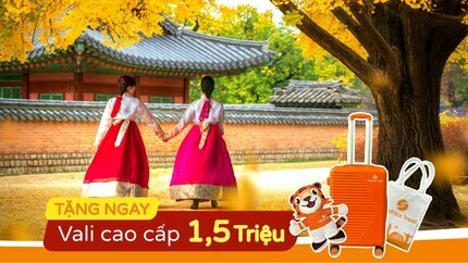 Tour Hàn Quốc mùa lá đỏ: HCM - Seoul - Nami - Everland 5N4Đ