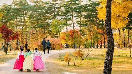 Tour Hàn Quốc: Seoul - Đảo Nami - Everland 5N4Đ (Khởi hành từ HCM)