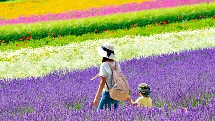 Tour Hokkaido: HCM - Sapporo - Furano - Otaru - Toya 5N5Đ