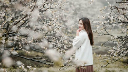 Tour khám phá Na Hang Tuyên Quang mùa hoa lê 2 ngày 1 đêm (Từ Hà Nội)
