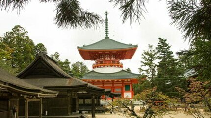 Tour Khám Phá Núi Koya – Hành Trình Đi Bộ 1 Ngày Từ Osaka