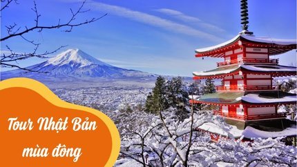 Tour Nhật Bản Mùa Đông 2023: Hà Nội - Osaka - Kyoto - Tokyo 6N5Đ