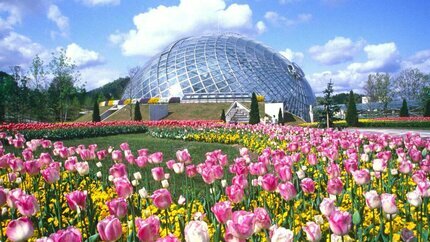 Tour Nhật Bản 30/4: Hà Nội - Shimane - Hiroshima 6 ngày 5 đêm