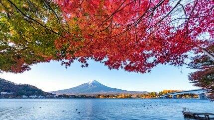 Khám Phá Cung Đường Vàng Nhật Bản – Lá Đỏ, Núi Phú Sĩ & Kyoto 5N5Đ