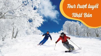 Tour Nhật Bản Trượt Tuyết: Tokyo - Núi Phú Sĩ 5N4Đ