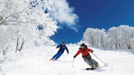 Tour Nhật Bản Trượt Tuyết: Tokyo - Núi Phú Sĩ 5N4Đ