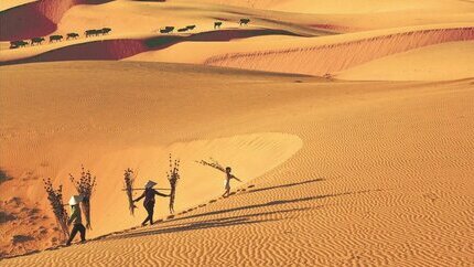 Tour Phan Thiết 2/9: KDL Tà Cú - Suối Tiên - Mango Beach - Đồi Cát Bay 3N2Đ