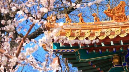 Tour Tết Trung Quốc 8N7Đ: Hà Nội - Hàng Châu - Thượng Hải - Bắc Kinh (No Shopping)