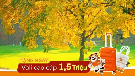 Tour Thượng Hải - Ô Trấn - Hàng Châu 5N4Đ từ Hà Nội