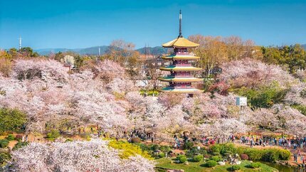 Tour Trung Quốc: Ân Thi - Phượng Hoàng Cổ Trấn - Trương Gia Giới 6N5Đ