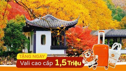 Tour Thượng Hải Mới: Hàng Châu - Tô Châu 5N4Đ (Mùa Lá Vàng)