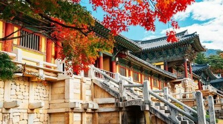 Chùa Bulguksa rực rỡ lá đỏ mùa thu