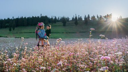 Tour du lịch Hồ Chí Minh - Hà Giang 5N4Đ