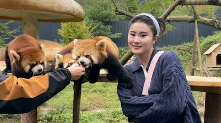 Trải nghiệm tham quan công viên gấu trúc