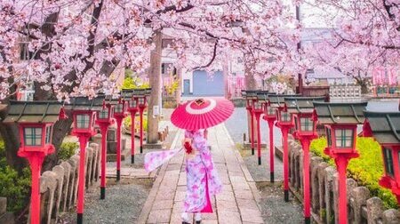 Tour Nhật Bản Mùa Đông: Hà Nội - Osaka - Nara - Kyoto - Núi Phú Sĩ 6N5Đ