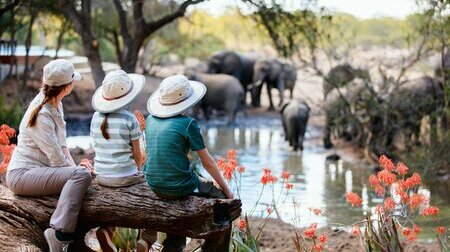 Du lịch Thái Lan Bangkok   Pattaya   Safari World từ Đà Nẵng