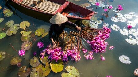 Du Ngoạn Miền Tây 4N3Đ Cần Thơ Sóc Trăng Côn Đảo Bay Vietnam Airlines Từ Hà Nội