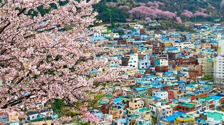 Tour Hàn Quốc: Busan - Seoul - Nami - Incheon