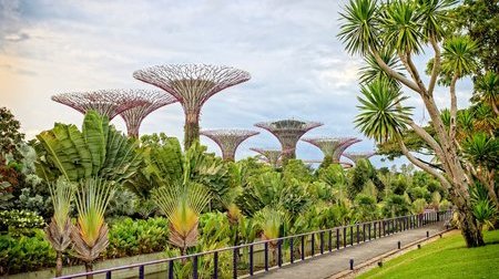 Khám phá Garden By The Bays