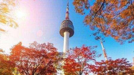 Lịch Trình Chi Tiết Tour Hàn Quốc Busan - Daegu - Seoul 6N5Đ