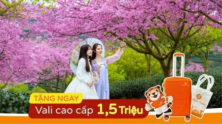 Hồ Chí Minh - Thượng Hải - Bắc Kinh - Hàng Châu - Ô Trấn 7N6Đ