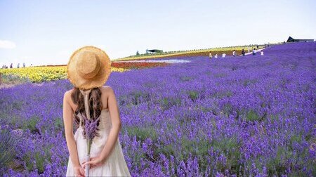 Du khách checkin cùng vườn hoa lavender