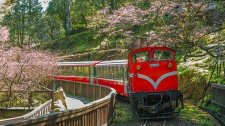 Quý khách trải nghiệm tàu lửa Alishan len lỏi qua rừng núi