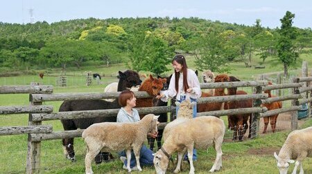Đoàn tham quan tại Mother Farm