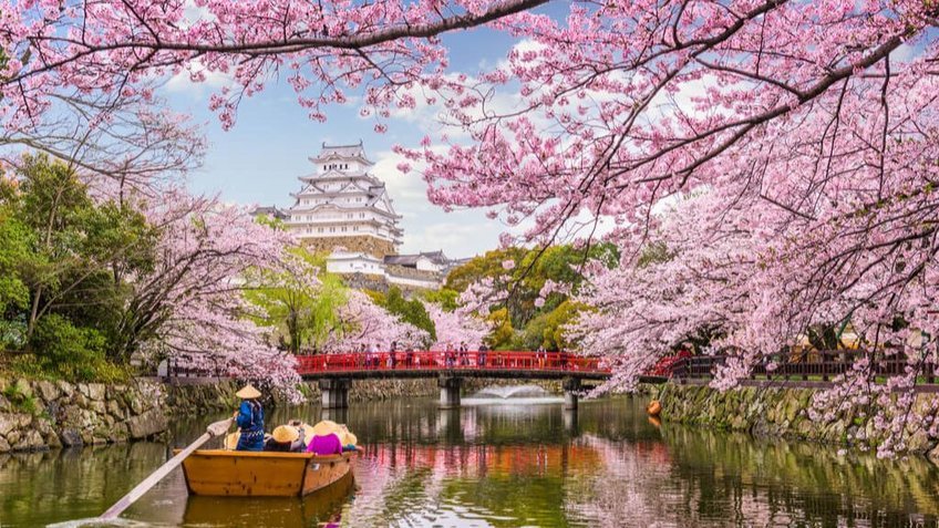 Du lịch Nhật Bản chiêm ngưỡng Lễ hội Hoa anh đào