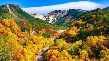 Săn Lá Đỏ Rực Rỡ Tại Hokkaido 6N5Đ Khởi Hành Từ Hà Nội