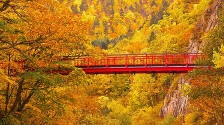 Thưởng ngoạn mùa thu Tohoku 8 ngày 7 đêm Aomori   Hirosaki   Miyagi   Tochigi