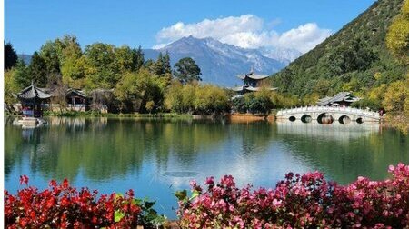 Vân Nam tràn ngập sắc màu khi xuân về