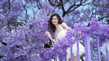 Con đường Hoa Phượng Tím Côn Minh phủ đầy sắc tím