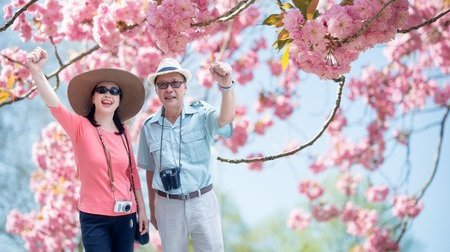 Tour du lịch Hồng Kông ngắm hoa anh đào (Khởi hành từ Hồ Chí Minh)