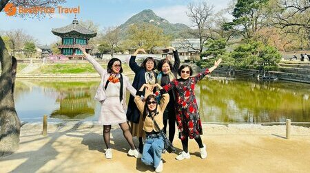 Tour du lịch Hàn Quốc mùa hoa anh đào
