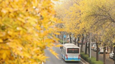 Tour Du Ngoạn Mùa Thu – Thượng Hải – Ô Trấn – Hàng Châu – Bắc Kinh 7N6Đ