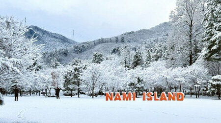 Tuyết phủ trắng xoá Đảo Nami vào mùa đông