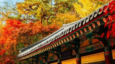 Tour Hàn Quốc 4N4Đ Seoul   Nami   Everland  Bay Sun Phú Quốc