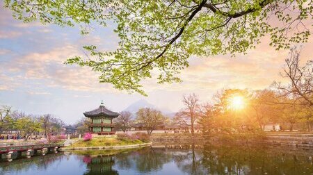 Khám phá những trải nghiệm thú vị trong tour Hàn Quốc của BestPrice