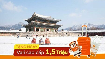 Bật mí những lí do bạn nên du lịch Hàn Quốc cùng BestPrice