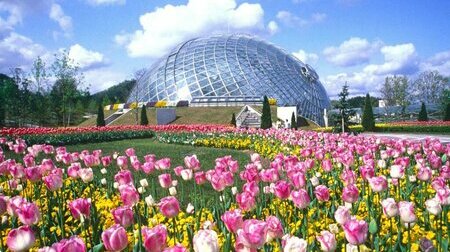 Tour Nhật Bản 30/4: Hà Nội - Shimane - Hiroshima 6 ngày 5 đêm