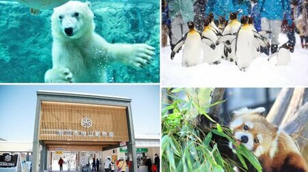 [Tour Tết Đặc Biệt] Tokyo - Hokkaido Mùa Tuyết Trắng Thần Tiên 6N5Đ