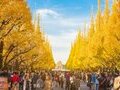 Nhật Bản Sang Thu: 5N4Đ Tokyo - Núi Phú Sĩ - Tự Do Khám Phá Disneyland