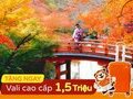 Du Lịch Nhật Bản 6 Ngày:  Khám Phá Thiên Nhiên và Văn Hóa Xứ Phù Tang (Bay Vietnam Airlines 4*)