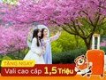 Hồ Chí Minh - Thượng Hải - Bắc Kinh - Hàng Châu - Ô Trấn 7N6Đ