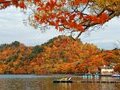 Khám phá Hokkaido mùa thu: Hà Nội - Asahiikawa - Sapporo - Tokyo 6N5Đ