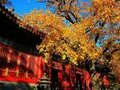 Tour Bắc Kinh 5N4Đ - Vạn Lý Trường Thành Hùng Vĩ - Làng Cổ Thơ Mộng
